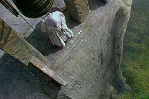 blacknarcissus