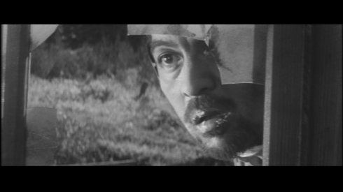 fugitive