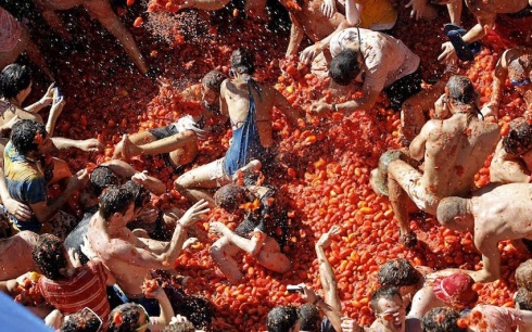 tomato