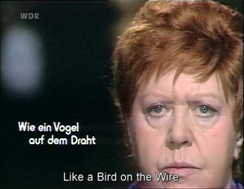 vlcsnap-2015-06-09-13h10m08s110